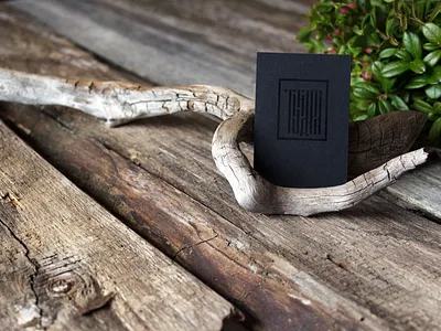 Тундра | Tundra branding businesscard identity lettering logo logotype script stationary vyaz