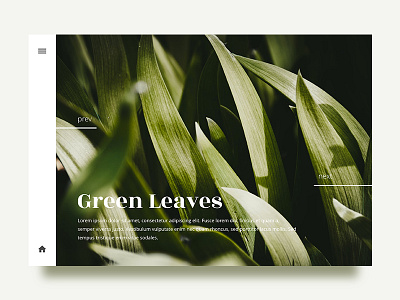 Leaves - Gallery dailyui design interaction landing leaf minimal presentation ui uidesign webdesign