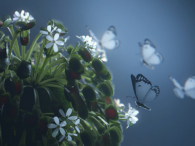 Butterfly Venus Flytrap Close Up 3d arnold c4d c4dtoa cinema 4d minimal venus flytrap