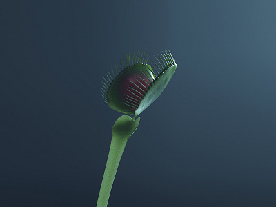 Venus Flytrap 3d arnold c4d c4dtoa cinema 4d minimal venus flytrap