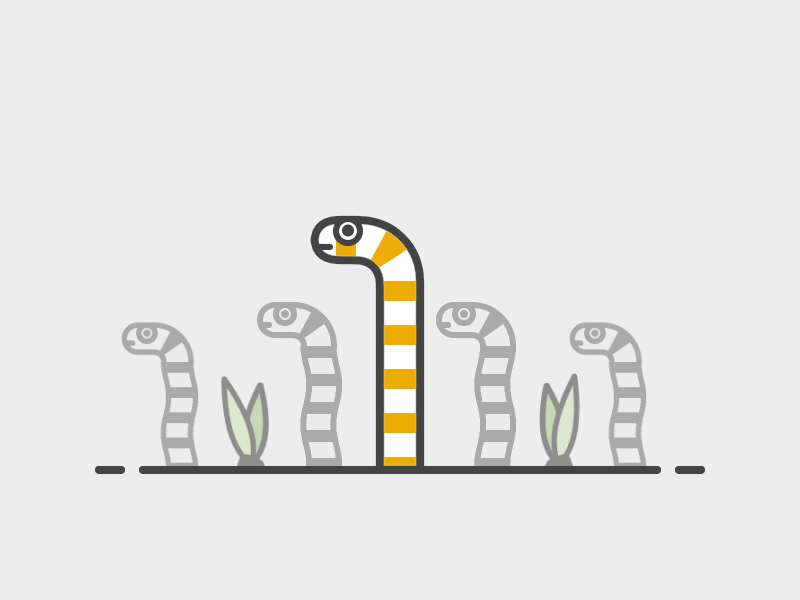 Gorgasia preclara animation fish illustration