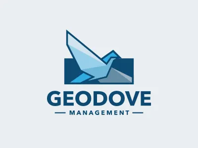 Bird Management Logo dove eagle entertainment finance financial geometric investment logo logotype