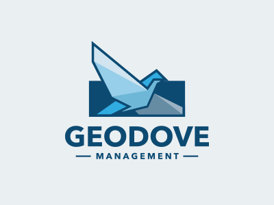 Bird Management Logo dove eagle entertainment finance financial geometric investment logo logotype