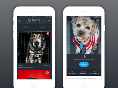 Shelter Adoption App about page adoption dark theme filter pets profile results san francisco search ui ux