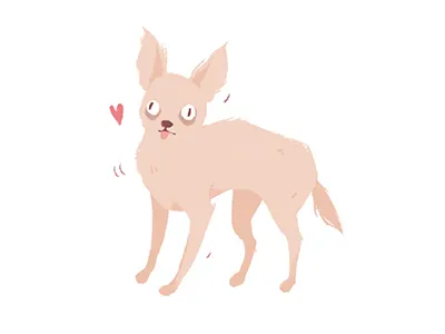 Chihuahua character chihuahua cute design digital illustration dog illustration puppy white
