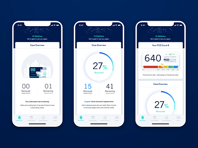 Lexington Law Overview app credit illustration mobile repair ui ux