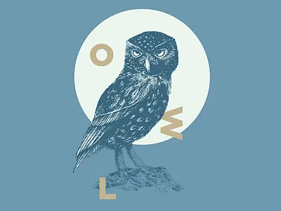Owl adobe illustrator adobe photoshop birds draw ink pen poster sketch