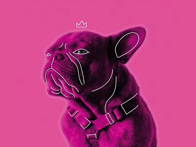 Dribbble Good Vibes Only - Pink animal art artwork design doodle frenchbulldog fun good vibes king pink