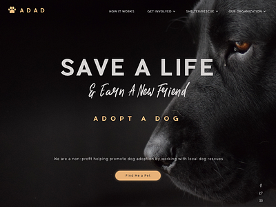 DailyUi 003 - Landing Page 003 adopt challenge daily dailyui dog landingpage pet ui