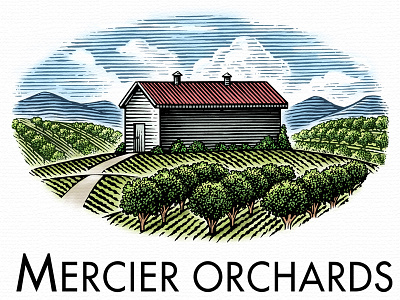 Mercier Orchards artwork engraving etching graphic design illustration illustrator line art linocut logo scratchboard steven noble woodcuts