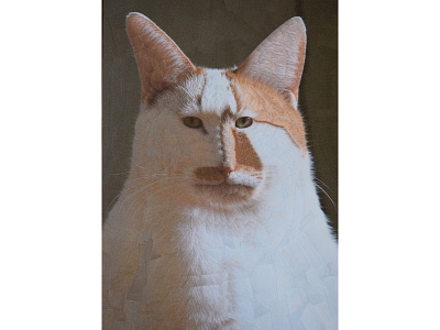 Charlie Revisited cat cats collage