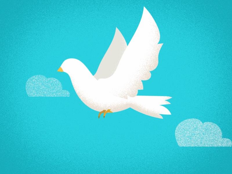 White Bird Edited bird cloud dissolve gif sky white