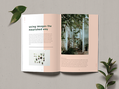 Editorial Double Page Spread double page spread editorial editorial design editorial spread journal magazine minimal pink plants sans serif simplistic