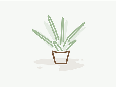 Aloe Vera aloe illustration minimal monoline nature