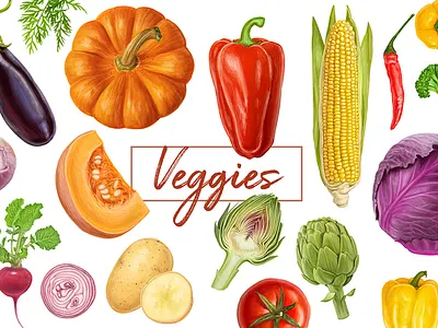 Veggies. Vector artwork. artichoke cabbage drawing food healthy nature vector vegetable vegetarian veggies