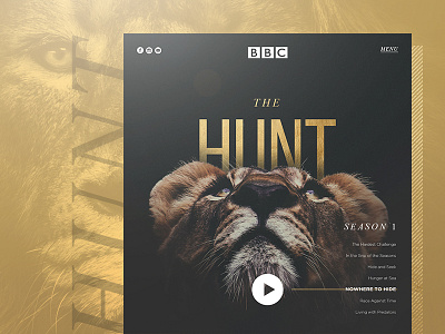 The Hunt design hunt the ui ux web