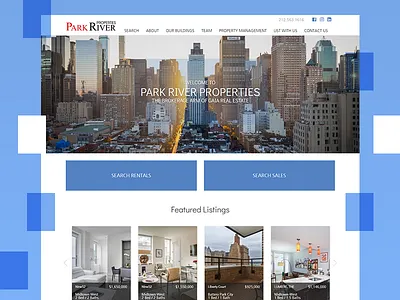Website Design app development responsive responsive design website wordpress