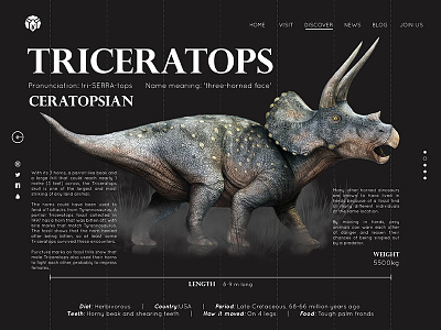 Daily UI - Day 019 adobe daily ui dinosaur flat illustration infographics minimal ui ux xd