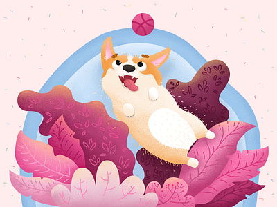 Hello Dribbble! corgi dribbble hello hello dribbble