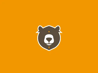 Baloo bear food indian orange