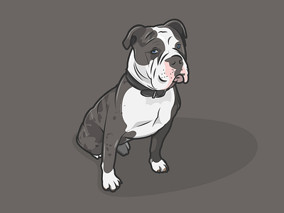 Mans best friend animal bulldog dog dribbble flat friend icon man pet shot sit woof