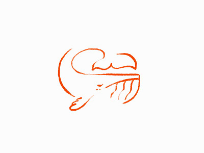 a secret whale animal brand design graphic illustration logo logo design logotype nature outline sign