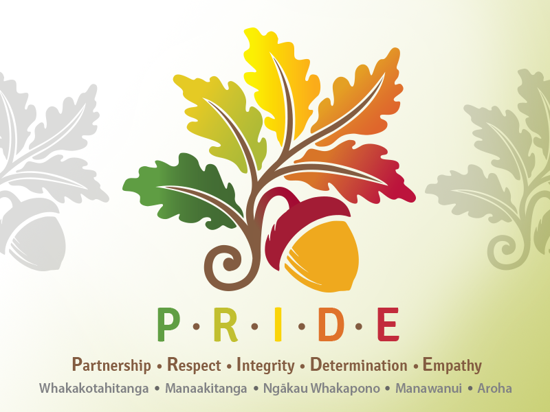 Example of P.R.I.D.E.