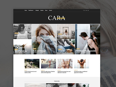 Cara - Magazine WordPress Theme magazine news wordpress themes