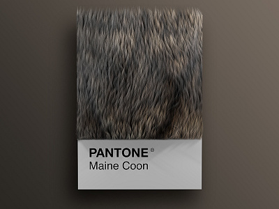 Cat As Breeds as Pantone - Maine Coon 3d animals art cat cats cinema4d colors design palette pantone render visual
