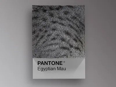 Cat Breeds as Pantone - Egyptian Mau 3d animals art cat cats cinema4d colors design palette pantone render visual