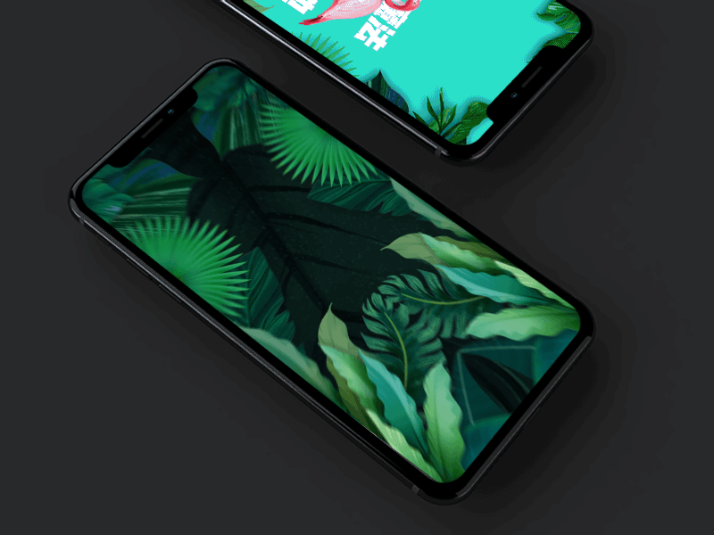 Landing page-Tropical Design-GIF