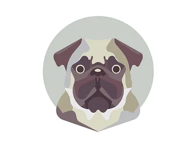 Minimal Pug dog dog face dog illustration minimal minimal vector minimalizm pug pug illustrated pugs illustration simple pug vector vector art