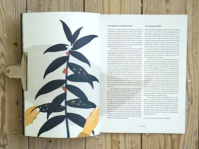 Leaf Rust coffee hands leaf leaves plant rust