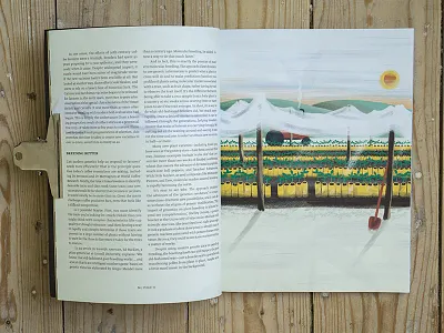 Coffee plant nursery coffee farm leaf leaves nursery plant tractor