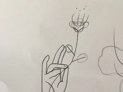 Botany Logo Design Sketch botanical botany branding caper flower design flower hand heritage identity logo monogram sicily