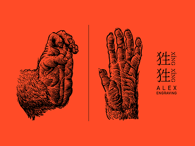 Engraving 狌狌 beast detail drawing engraving freehand graphic hand illustration monkey painting print