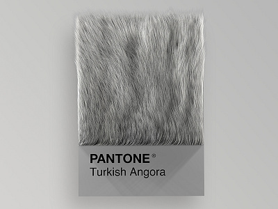 Cat Breeds as Pantone - Turkish Angora 3d animals art cat cats cinema4d colors design palette pantone render visual