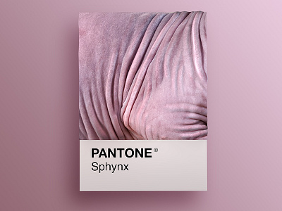 Cat Breeds as Pantone - Sphynx 3d animals art cat cats cinema4d colors design palette pantone render visual