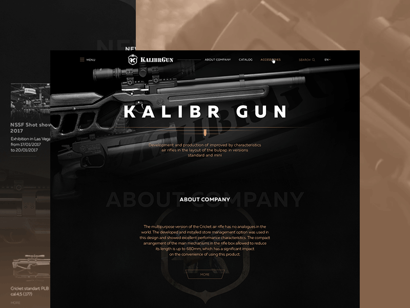 Web design | Airguns design ui ux web