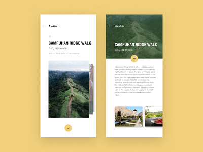 Trekking App app ui mute colors travel app trekking ui design