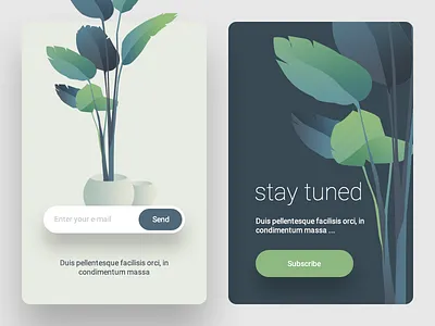 Subscribe Page illustration leaf minimal plant subscribe ui ux vase