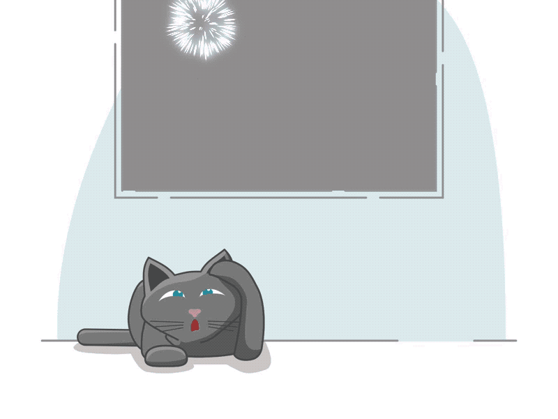 Cats & Fireworks Do Not Mix cat fireworks gif illustration veterinarian