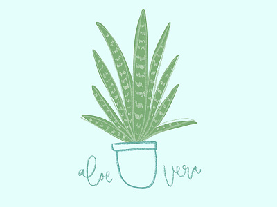 Aloe Vera illustration texture typography