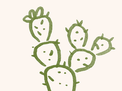 Cactus Sketch cactus green prickly pear sketch