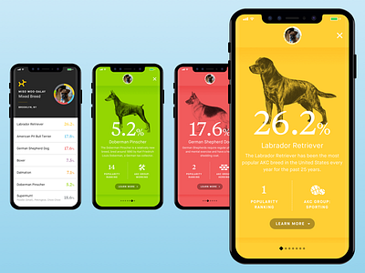 Embark Dog DNA Redesign dna dog mobile redesign ui ux