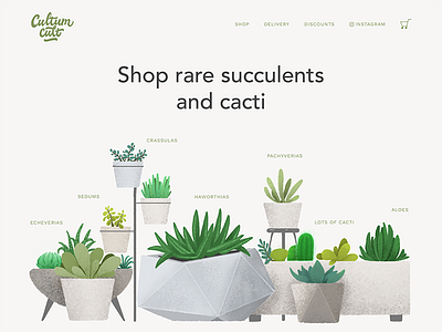 Succulents and cacti shop 003 dailyui dailyui003 ecommerce greenery illustration landing plants shop store succulent ui