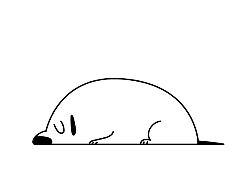 Dog Days. 2d animals animation dog sleeping