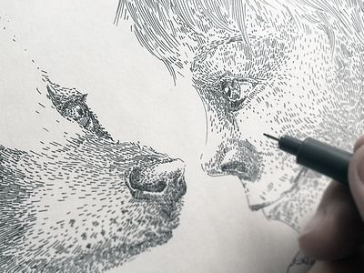 GREETING (a detail of the process) animal boy details drawing illustration ink nature process study textures