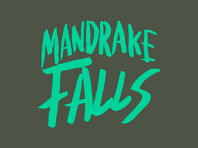 Mandrake Falls band logo branding logo music poppunk