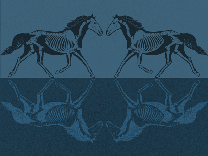Example of Symmetry